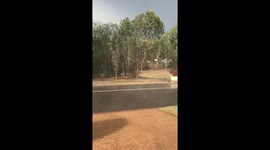 Simultaneous sunshine and hail.