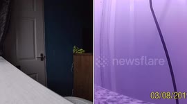 Poltergeist activity at my house