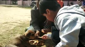 Kids bring some biscuits to feed stray puppy in park in north India