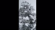 temp