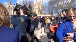 Wooferendum verdict on Brexit - a disaster not only for people but also for pets