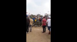 Watch elephant easily win tug-of-war against 17 men
