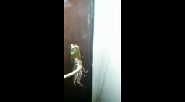 Wild 5-year-old girl rescued from a closed apartment in Moscow (Part 1)