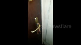 Newsflare Edit - Wild 5-year-old girl rescued from a closed apartment in Moscow (Part 1)