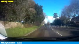 A teenage driver was seconds from death when a massive tree was blown over in high winds - and smashed into her car