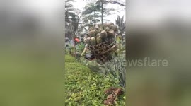 Pineapple farmers carry over 100-kilo-weight baskets showing immense strength