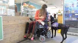 Assistance dog helps a young disabled woman pay for her shopping!
