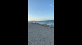 Punta Cana Dominican Republic Beach Clip