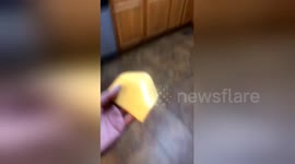 This joke is dead now! Woman throws cheese slice at grandfather's urn