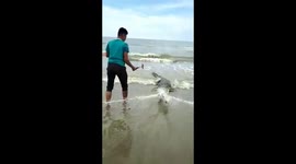 Horrifying moment crocodile trapped in fishing net is beaten to death with claw hammer