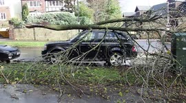 Large Tree Branch falls onto Land Rover below, damaging roof and bonnet