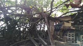 trash is an installation artwork