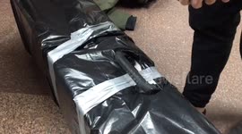 Smart airport check-in: two guitar cases? No, it’s just one!