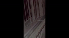 Bridget and Zara fighting through the window