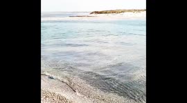 Морское побережье Украина