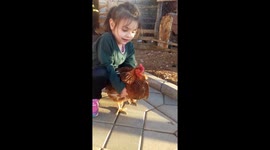 Little girl and Chicken