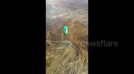 Plastic bottle spinning in a whirlpool in a flooded ditch