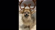 temp