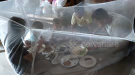 Family eat dinner under net after infestation of flies