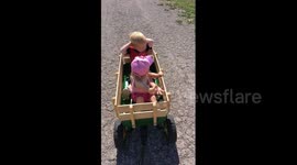 Kids riding in a wagon waiving to cows