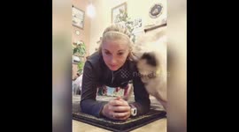 Dogs interfere with exercise