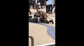 Two people fighting grapple on the floor and then dog starts humping them