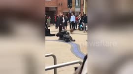 Newsflare Edit - Two people fighting grapple on the floor and then dog starts humping them