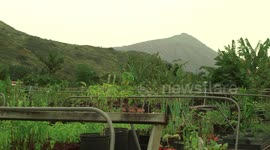 Herb Garden and Hawaiian Mountains