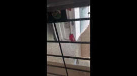 Hail storm in Los Angeles protecting car windows