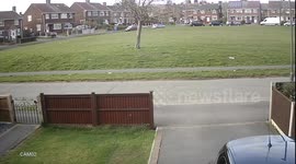 Giant walking strawberry