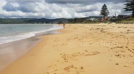 Umina beach