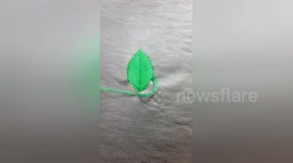 Skilful woman shows incredible hand sewing tricks in China's Shaanxi