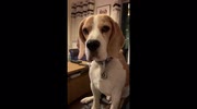 temp