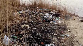 Nature pollution lake landscape 4