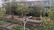 temp