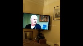 Chiefironside the cat chillin out