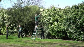 Playing hard to get: Funny scene as keepers at London Zoo try to recapture bird of prey