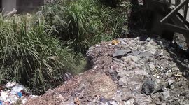 Devastating footage of river filled with trash