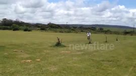 Dirt bike flip fail SB