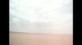 DOGS BLACKPOOL 2014!!