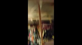 Bird thinks he's a banana