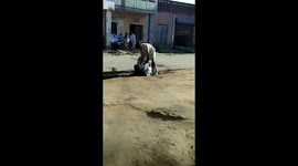 Hilarious moment two friends topple in drain allegedly after partying too hard on Holi