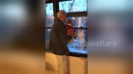 Newsflare Edit - When your parents realise this is the closest they'll get to grandchildren! Man shows his grand-dog deer in the garden