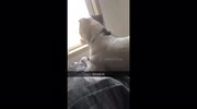 temp