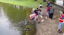 Turtle Man of Bang Pa-In Palace 2