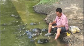 Turtle Man of Bang Pa-In Palace
