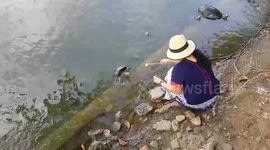 Visitors to Bang Pa-In summer palace feed the turtles