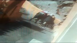 'Tame' elephants begin attacking each other at famed Indian tourist site