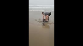 Saving a baby dolphin - Boggomsbaai