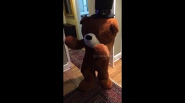 Dancing Bear (Arcade Prize)